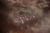 fly over the colorful lake Poster och Canvastavla