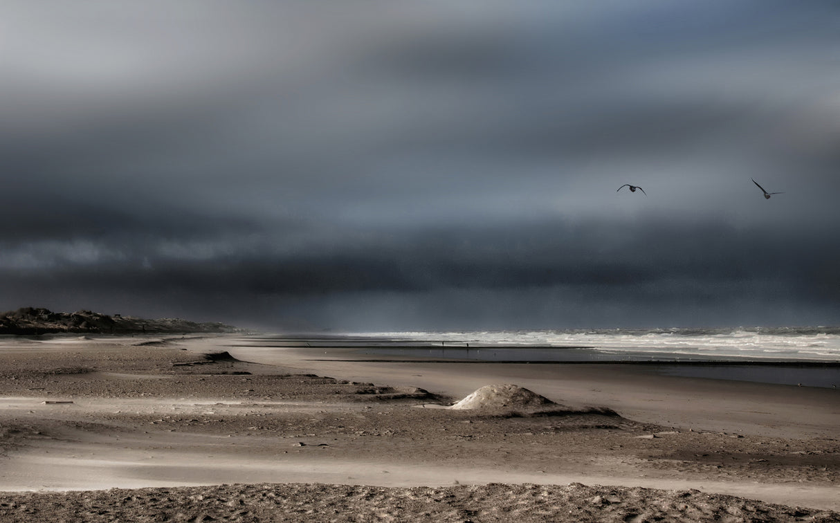Storm ahead ... Poster och Canvastavla
