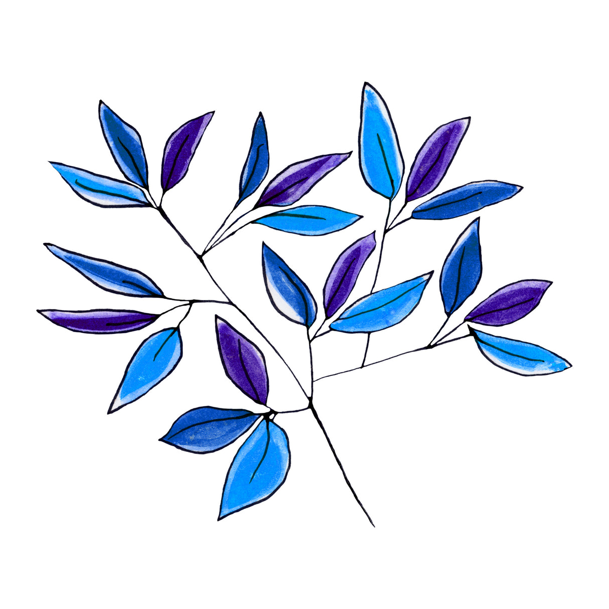 Blue Floral Branches 2 Poster och Canvastavla