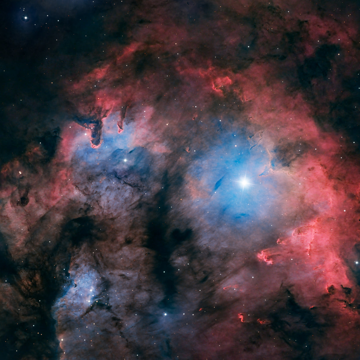 A face in space Poster och Canvastavla