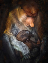 Loving Mother Poster och Canvastavla