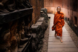 Chosen Path Poster och Canvastavla