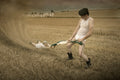Cottonfarmer II Poster och Canvastavla