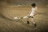 Cottonfarmer II Poster och Canvastavla