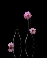 Flowers and vases Poster och Canvastavla
