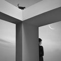 Shine on Silver Moon Poster och Canvastavla