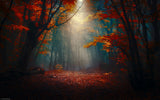Sunset in the forest Poster och Canvastavla