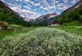 Zadnja Trenta valley Poster och Canvastavla