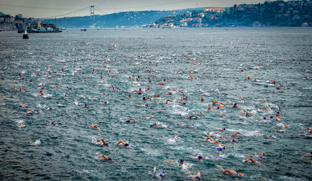swimming race Poster och Canvastavla