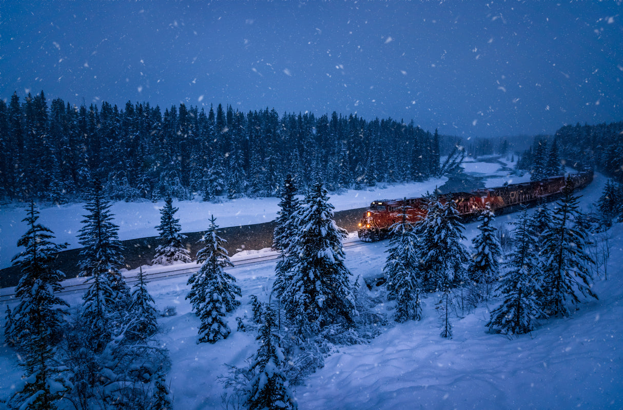 The Polar Express Poster och Canvastavla