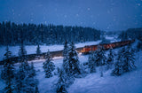 The Polar Express Poster och Canvastavla
