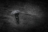 man in the rain Poster och Canvastavla