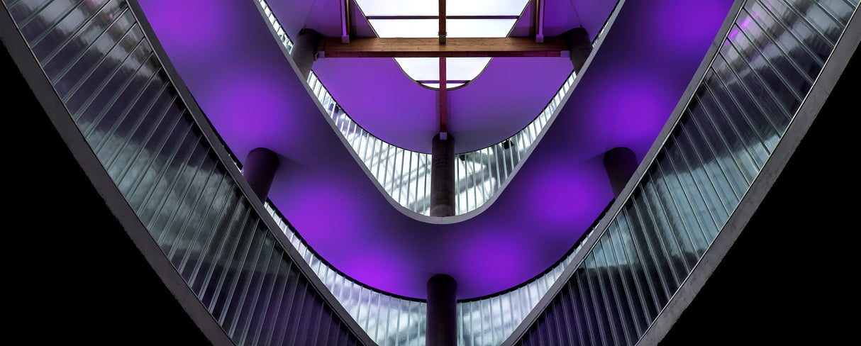 purple bands Poster och Canvastavla