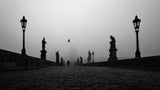 Prague - Misty Bridge Poster och Canvastavla