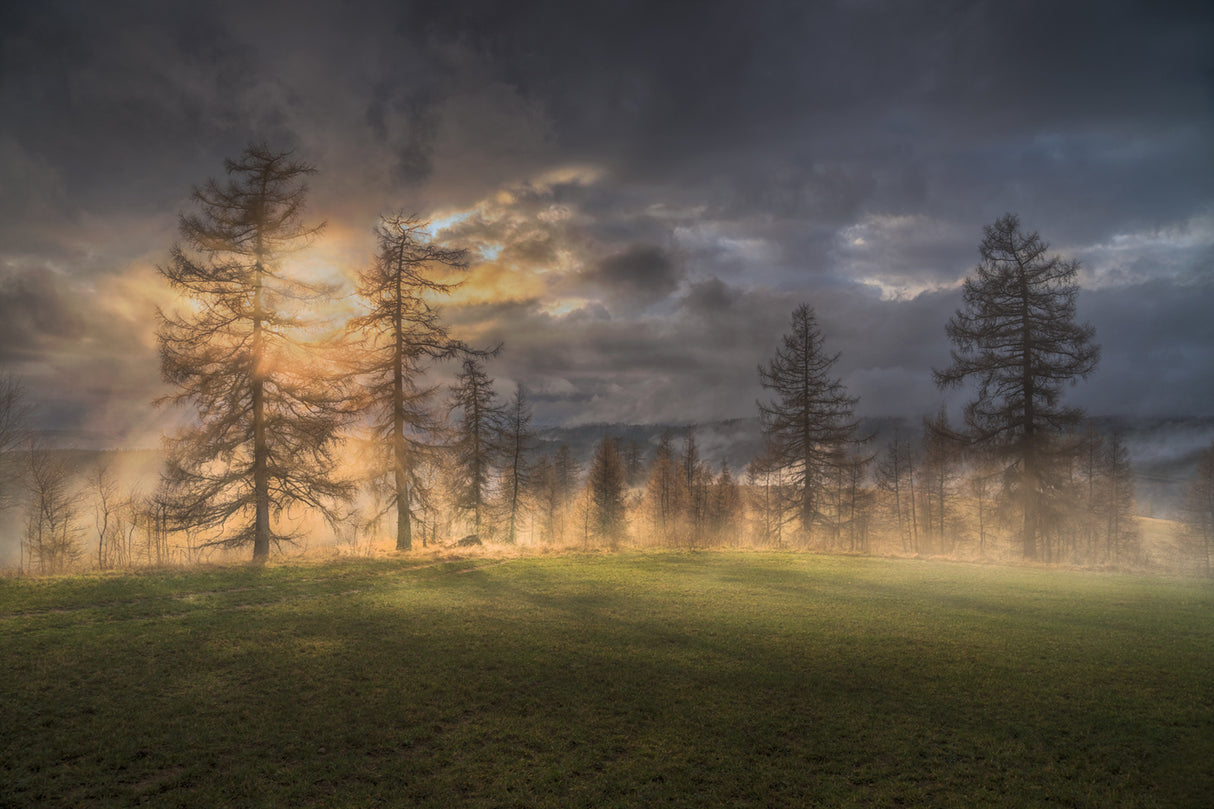 Silent witnesses of the sunset Poster och Canvastavla