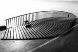 Cat on the bridge Poster och Canvastavla