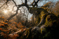 Twisted Nature Poster och Canvastavla