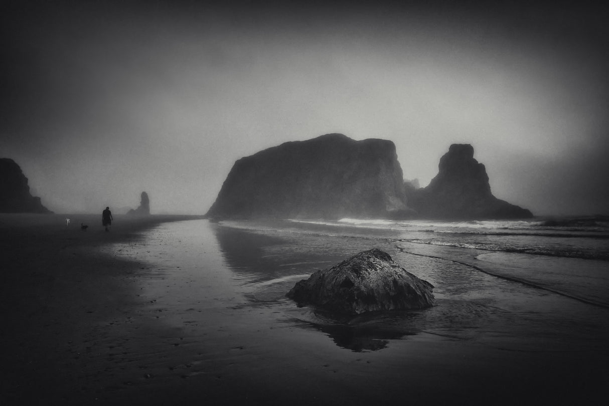 Foggy Oceanside Poster och Canvastavla
