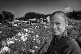 Shepherdess Poster och Canvastavla
