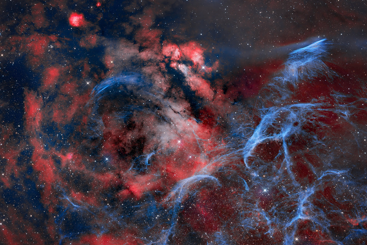 Vela Widefield Poster och Canvastavla