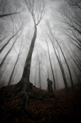 Mysterious silhouette under giant tree Poster och Canvastavla