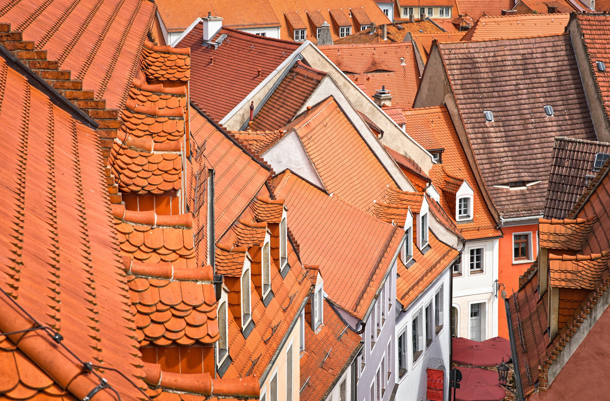 The color of these roofs... Poster och Canvastavla