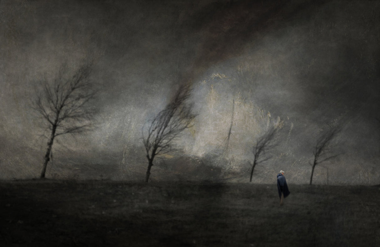A stormy day Poster och Canvastavla