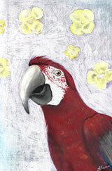 Scarlet Poster och Canvastavla