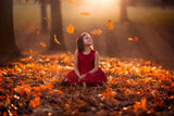 Autumn Magic Poster och Canvastavla