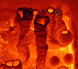 999&ordm;C Poster och Canvastavla