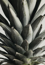 Pineapple close up Poster och Canvastavla