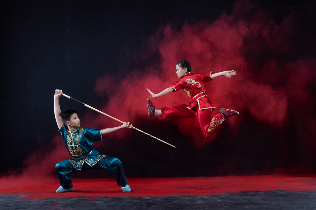 Wushu Atlit Poster och Canvastavla