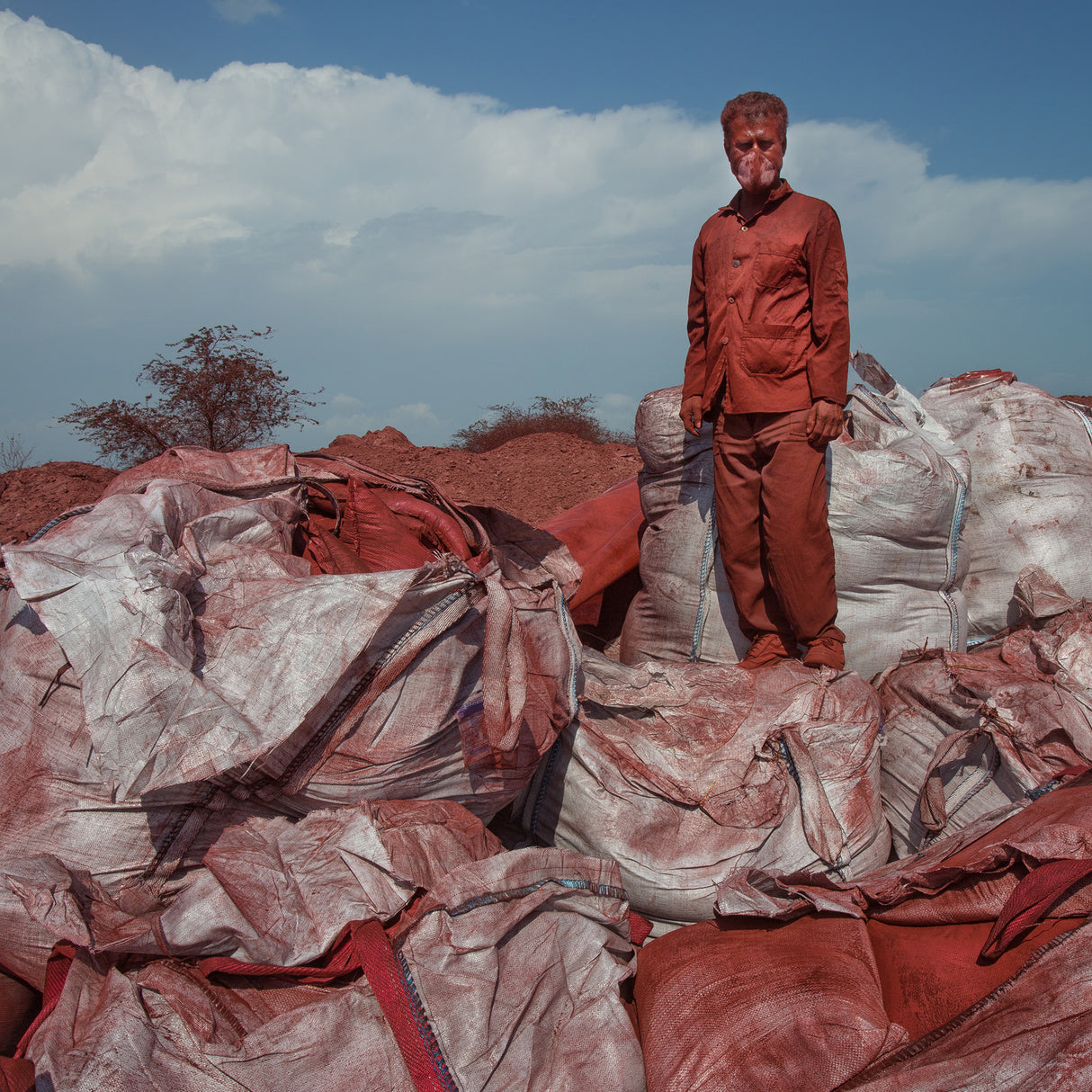 Red Soil Poster och Canvastavla