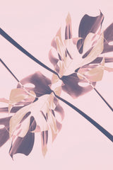 Monstera Kaleidoscope 07 Poster och Canvastavla