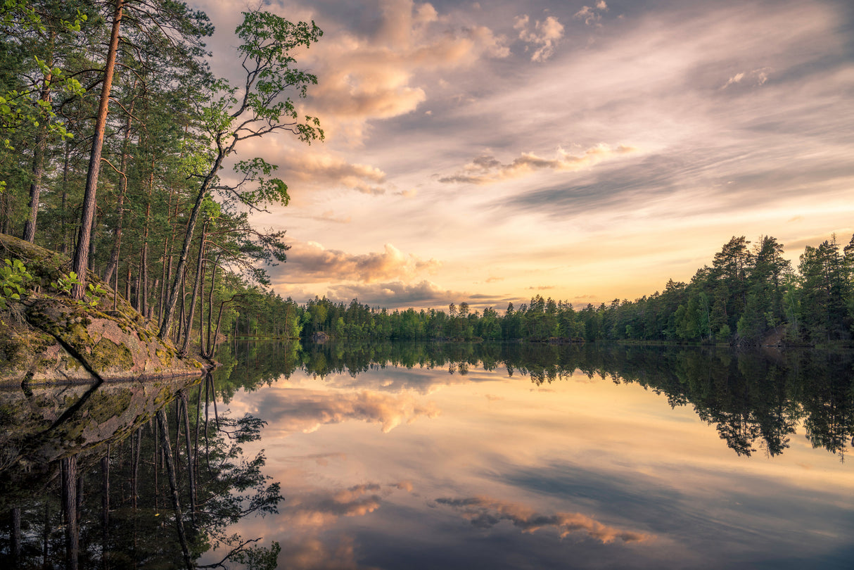 Lake tarmsjön, Sweden Poster och Canvastavla