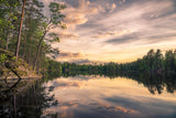 Lake tarmsjön, Sweden Poster och Canvastavla