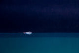 Trip into the blue Poster och Canvastavla