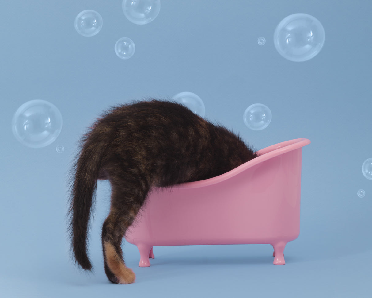 Bath Time4 5 Poster och Canvastavla