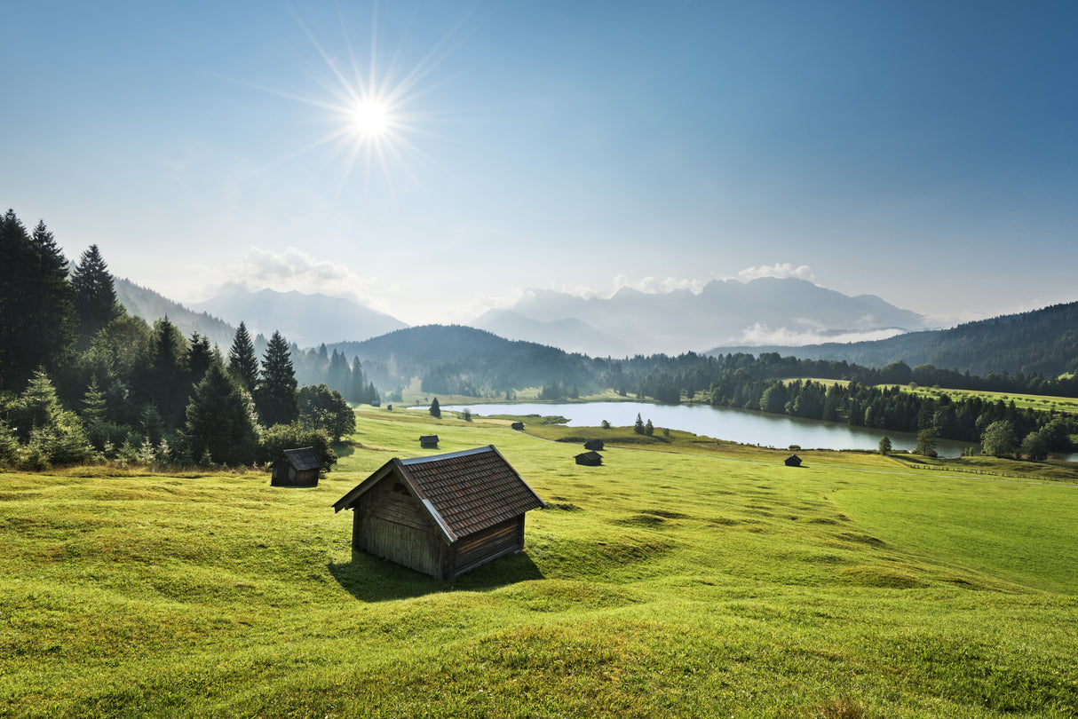 Summer Meadow Poster och Canvastavla