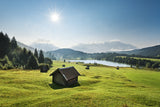Summer Meadow Poster och Canvastavla