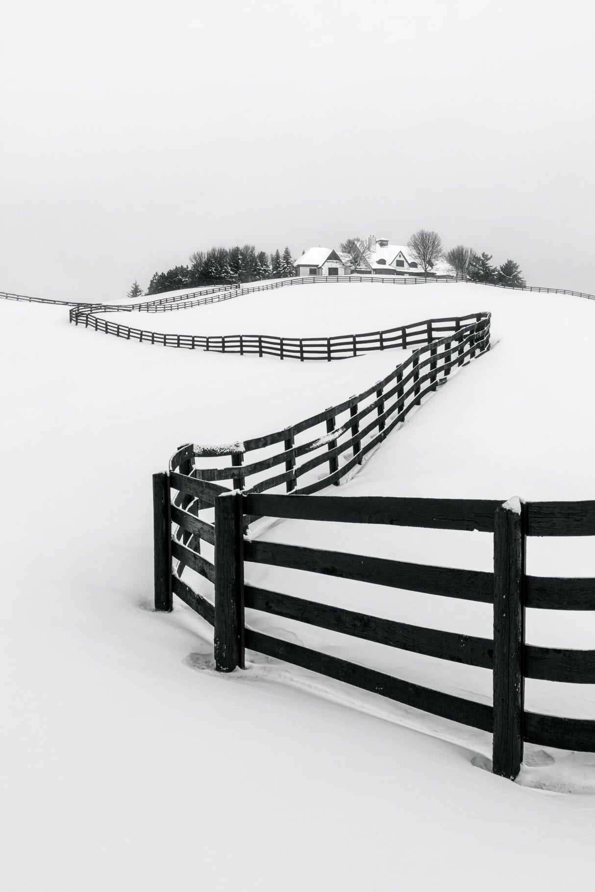 Winter Wonderland Poster och Canvastavla