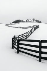 Winter Wonderland Poster och Canvastavla