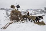 In the winter Poster och Canvastavla