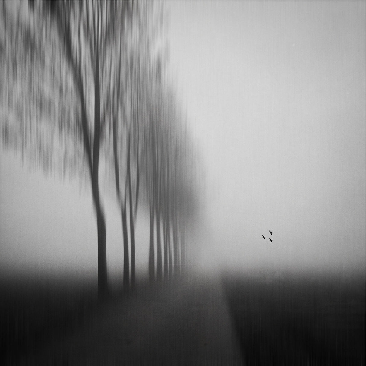 on a morning in the autumn Poster och Canvastavla