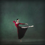 The girl &amp; dance Poster och Canvastavla