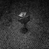 The black umbrella Poster och Canvastavla
