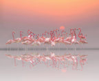 meeting before sunset Poster och Canvastavla