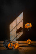 Orange Squash Poster och Canvastavla