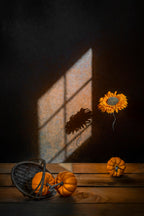 Orange Squash Poster och Canvastavla