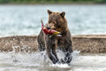 Fishing and running Poster och Canvastavla